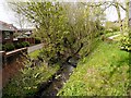 Tanyard Brook, Coppull