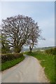 Painsthorpe Lane