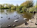 WWT Martin Mere, Lake Outside Visitor Centre