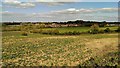 Farmland west of Faringdon