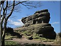 SE2064 : Brimham Rocks by Derek Harper