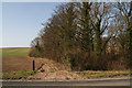 Farm track and copse at Dovendale