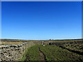 Footpath leading Eastwards from Anna Land End