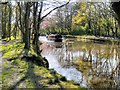 Leeds and Liverpool Canal South of Arley Bridge