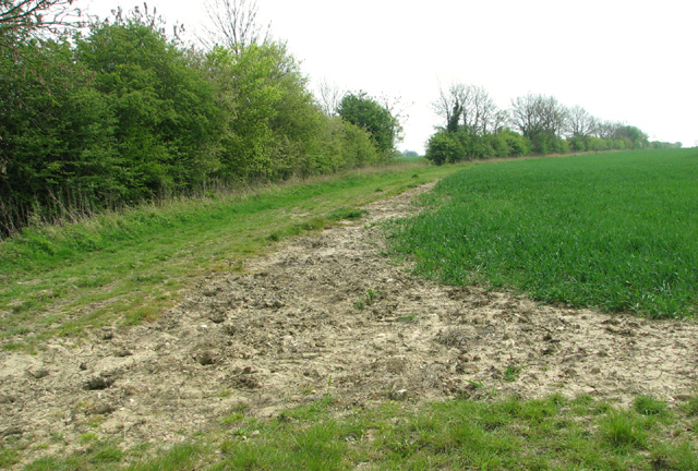 Field boundary ditch and hedge
