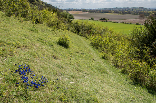 Above the North Downs Way