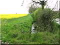 Field boundary ditch and hedge