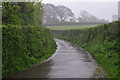 Mid Devon : Country Lane