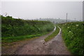 Mid Devon : Country Lane