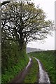 Mid Devon : Country Track