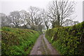 Mid Devon : College Lane