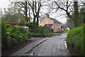 Clyst Hydon : Country Lane