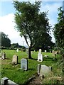 St Andrew, Burstock: churchyard (iii)