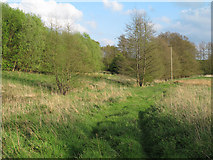 TL9236 : Meadow near Chestnut Grove, Assington by Roger Jones