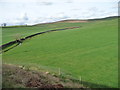 Pasture on the east bank of Hellifield Beck