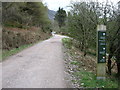 The track up Ennerdale