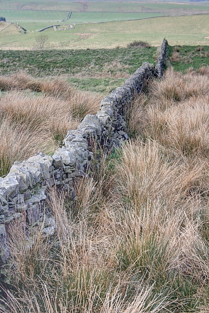 Dry Stone Wall, Below Oaky Knowe Crags