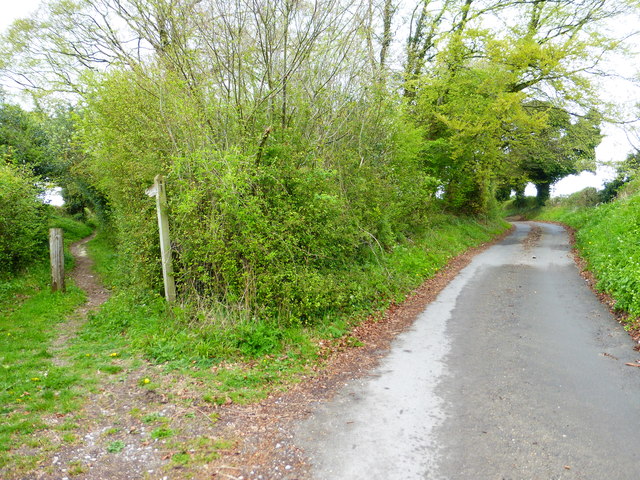 Bridleway leaves lane south of Reeds Farm