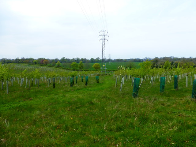 Pylons across farmland