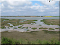 View from Deep Fleet Hide (RSPB)