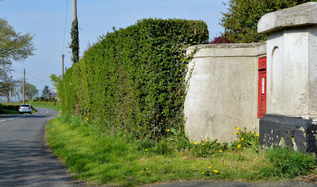 Victorian wall box (BT38 286) near Whitehead (2)