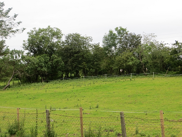 Field near Castlefinn