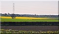 Fields near Sinope