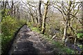 Track beside the burn