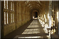 ST5545 : Wells Cathedral Cloisters by Stephen McKay