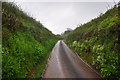 East Devon : Country Lane