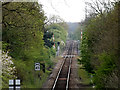 TM4289 : Railway Line looking towards London Road Crossing by Geographer