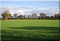 Grassland, Swilland