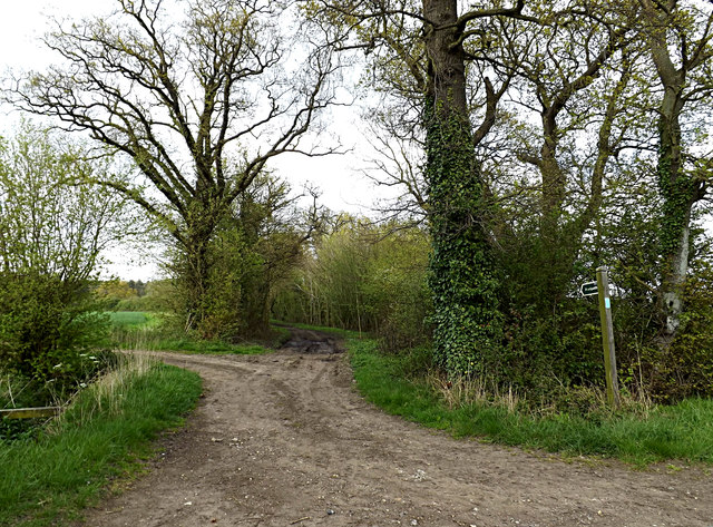 Footpath to Likely Wood & Pound Road