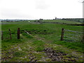 An open field, Ballylennan Scott