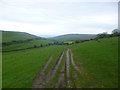 Worth Matravers, farm track