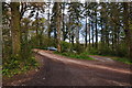 East Devon : Ashclyst Forest Car Park