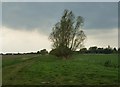 Track to Horseshoe Farm and Acheson Farm on Mare Fen