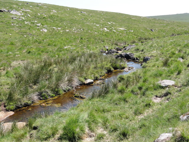 The West Dart River