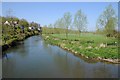 River Stour viewed from Crawford Bridge