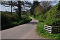 East Devon : Country Lane