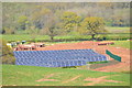 East Devon : Grassy Field & Solar Farm