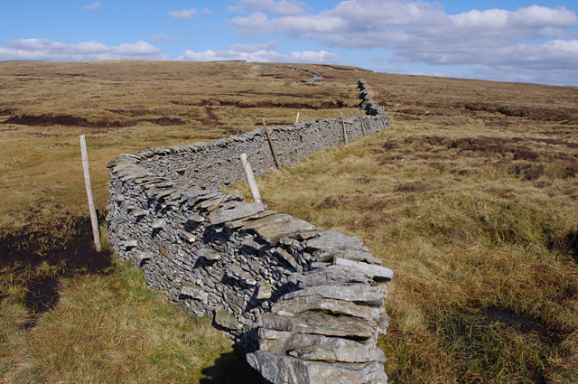 Stone wall, Plover Hill