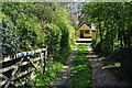 East Devon : Driveway