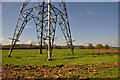 SY0197 : East Devon : Grassy Field & Pylon by Lewis Clarke