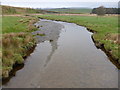 Part of the Afon Clywedog near Staylittle from Glyndwr