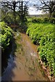 East Devon : River Clyst