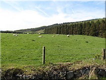 J0524 : Forest/farmland boundary west of the Forest Drive by Eric Jones