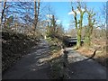 Cycle route at Howford Bridge