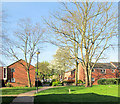 A spring morning in Ashbury Close