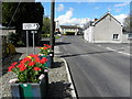 Flowers along Magheraveely Road